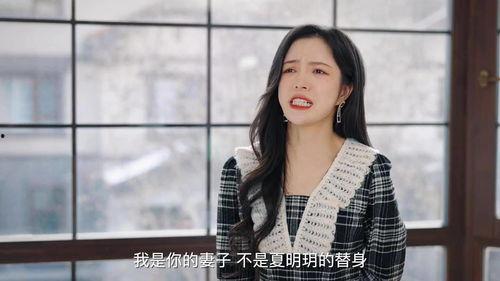 沈总夫人她罪不至死,罪不至死的悲情命运