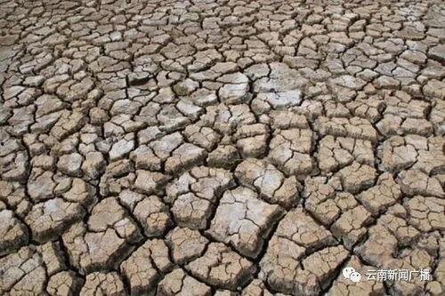 干旱 2020,2020年全球干旱状况综述
