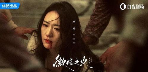 微暗之火,探寻人性幽微的文学之旅